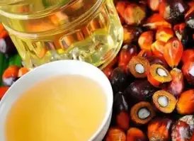 30-40% बढ़े पाम ऑयल के दाम, सूरजमुखी पर भी असर, जानें क्या हैं भाव?