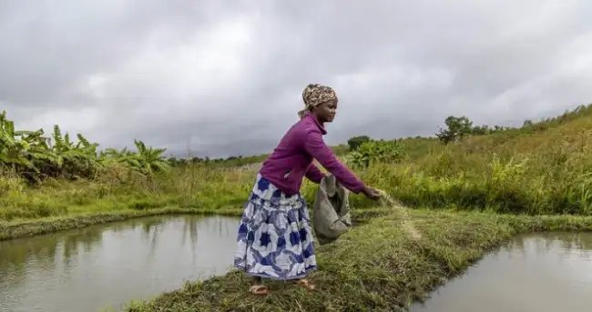 महिलाओं को मिलेंगे 2100 रुपये प्रति माह, 5 हजार करोड़ का बजट, जानें क्या है खास?