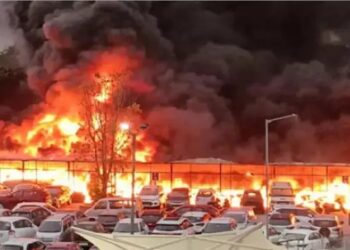 दिल्ली के मधु विहार की पार्किंग में लगी भीषण आग, 17 कारें जलकर राख