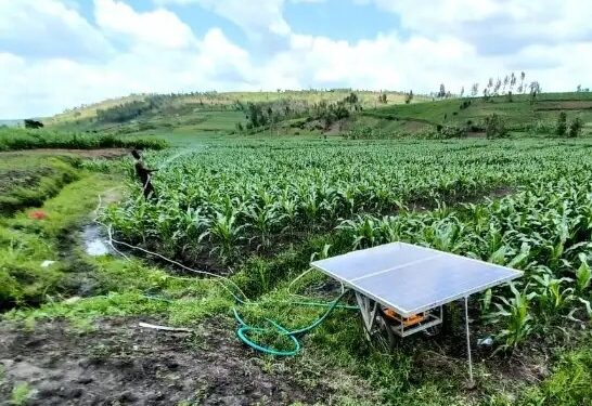 सरकार दे रही सोलर पंप लगाने पर सब्सिडी, अब किसानों को नहीं होना पड़ेगा सिंचाई के लिए परेशान!