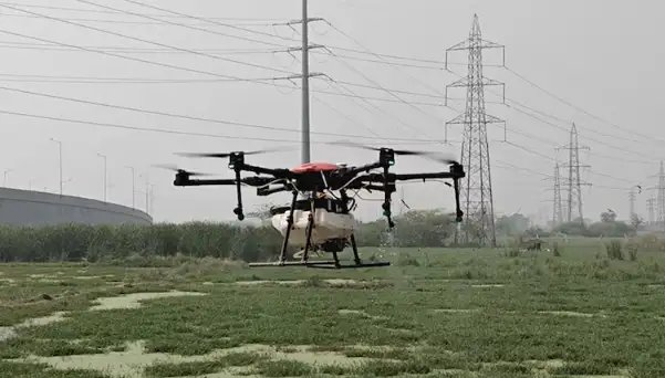 मच्छरों से छुटकारा पाने के लिए MCD ने ड्रोन से कराया छिड़काव, मेयर ने दी जानकारी