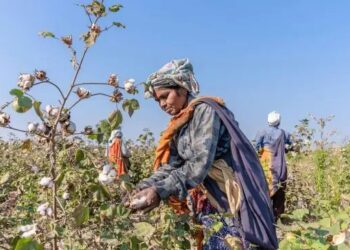 कैबिनेट ने PM किसान संपदा योजना को 6,520 करोड़ रुपये का बजट दिया, किसानों की आय बढ़ाने पर फोकस