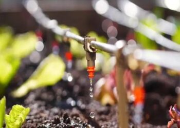 उद्योग ने सरकार से जल में घुलनशील मृदा पोषक तत्वों के उत्पादन को प्रोत्साहित करने का आग्रह किया