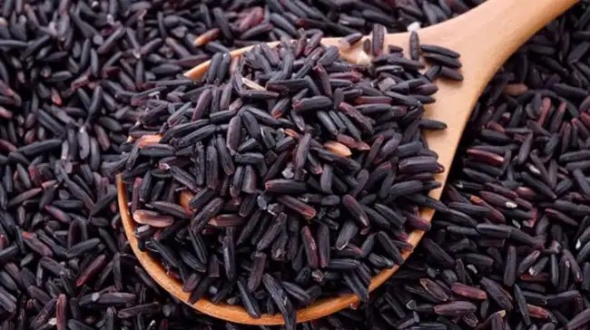 यूपी में बनने जा रहा काला नमक चावल का सबसे बड़ा रिसर्च सेंटर, किसानों को दोगुना होगा फायदा