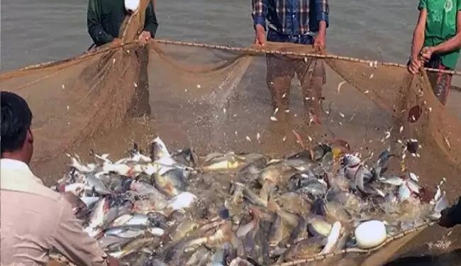 कैबिनेट ने मत्स्य पालन और एक्वाकल्चर इंफ्रास्ट्रक्चर डेवलपमेंट फंड को स्वीयकृति दी