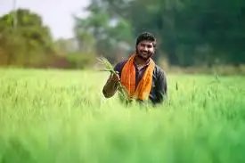 महाराष्ट्र सरकार की कृषि क्षेत्र को बढ़ावा देने के लिए 25,000 करोड़ रुपये के परिव्यय वाली नई योजना