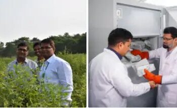 आईसीआरआईएसएटी और उसके सहयोगियों ने अरहर में बाँझपन मोज़ेक रोग प्रतिरोधकता के लिए नए जीन की खोज की