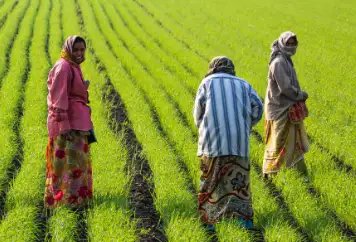 UP: किसानों के खाते में आएगी पीएम किसान की राशि, ऐसे चेक करें स्टेटस