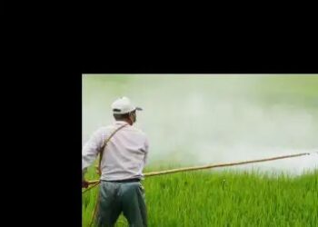किसानों को सुरक्षित कीटनाशक उपयोग के लिए सरकार चला रही विशेष अभियान