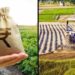 कृषि क्षेत्र को बढ़ावा देने के लिए रिकॉर्ड बजट: वर्ष 2025-26 में कृषि मंत्रालय को ₹1.27 लाख करोड़ का आवंटन