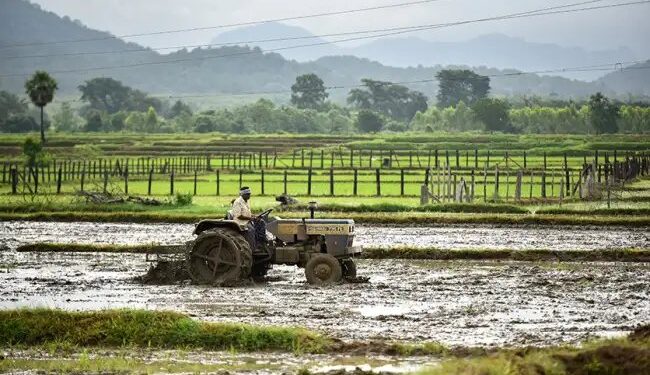 बारिश के मौसम में फसलों में नहीं लगेंगे कीट, इन दवाओं का करें इस्तेमाल