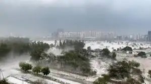 दिल्ली एनसीआर में ओलावृष्टि से 4 लोगों की मौत, बिजली कटौती और यातायात बाधित