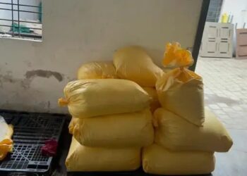 गुजरात: ड्रग्स रैकेट का भंड़ाफोड़, जब्त की गई करोड़ों की कोकीन