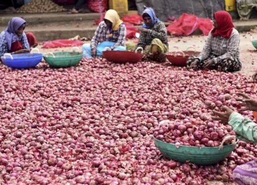 प्याज कीमतों में नहीं हो रहा सुधार, जानें क्या है मंडियों के भाव?
