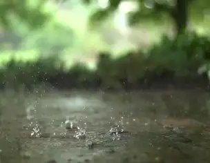 तमिलनाडु- आंध्र में IMD ने जारी किया भारी बारिश का अलर्ट, जानें डिटेल!