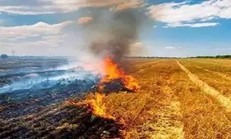 पंजाब, हरियाणा में एक बार फिर पराली की समस्या शुरु, दिल्ली में खराब हो सकता है AQI