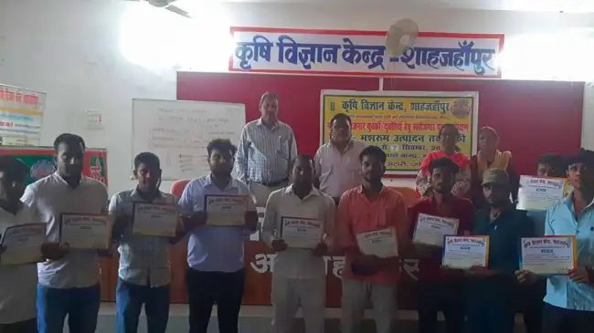 केवीके शाहजहांपुर में लगा 5 दिवसीय मशरूम उत्पादन प्रशिक्षण शिविर!