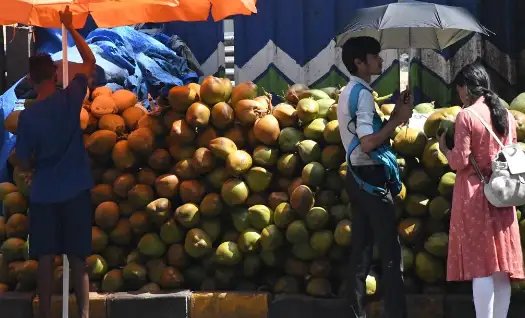 डीहाइड्रेशन से दूर रखता है नारियल का पानी, जानें क्यों है गर्मियों के लिए फायदेमंद?