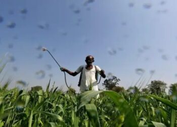 उर्वरक सब्सिडी के लिए डीबीटी योजना शुरू की जाएगी: उद्योग