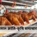 बरसात में पोल्ट्री फार्मिंग बनी चुनौती: उमस और बीमारियों से जूझ रही मुर्गियां, जानें कैसे करें बचाव
