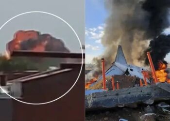 प्लेन क्रैश के बाद खौफनाक था मंजर! 1000 डिग्री तक पहुंच गया टेंपरेचर, जानवरों को भी पहुंचा नुकसान