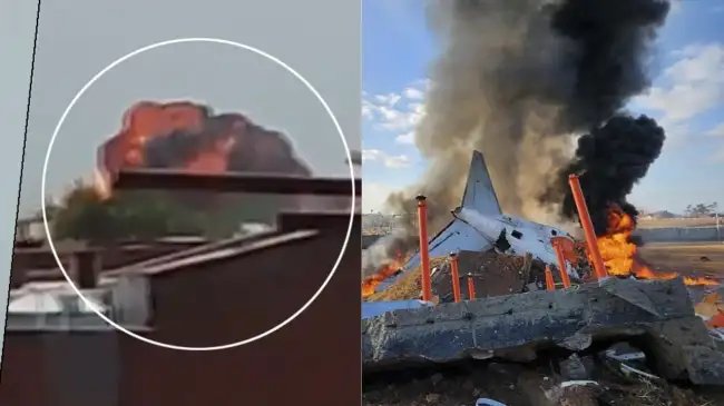 प्लेन क्रैश के बाद खौफनाक था मंजर! 1000 डिग्री तक पहुंच गया टेंपरेचर, जानवरों को भी पहुंचा नुकसान