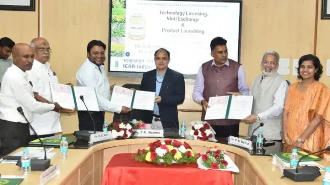 भारतीय तिलहन अनुसंधान संस्थान (आईआईओआर) ने नई बीज उपचार तकनीक विकसित की