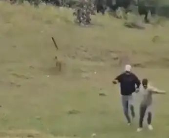 MP: में पुलिस ASI पर तेंदुए का हमला, आए 40 से ज्यादा टांके!