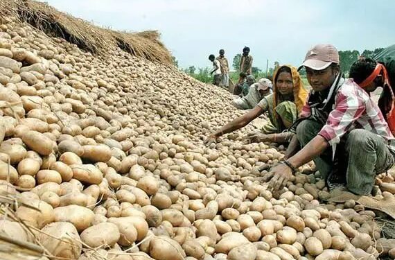 दामों से ओडिशा की जनता परेशान, आलू ने लगाई हॉफ सेन्चुरी