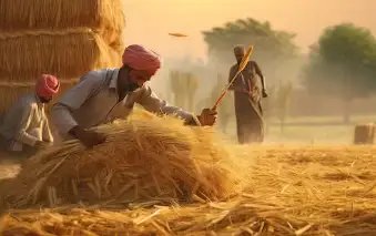 जल्द कराएं ये काम वरना नहीं आएगी PM किसान की 19वीं किस्त, 31 जनवरी है अंतिम तारीख!