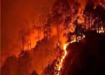 कैबिनेट सचिव ने गर्मी और जंगल की आग से निपटने की तैयारियों की समीक्षा की