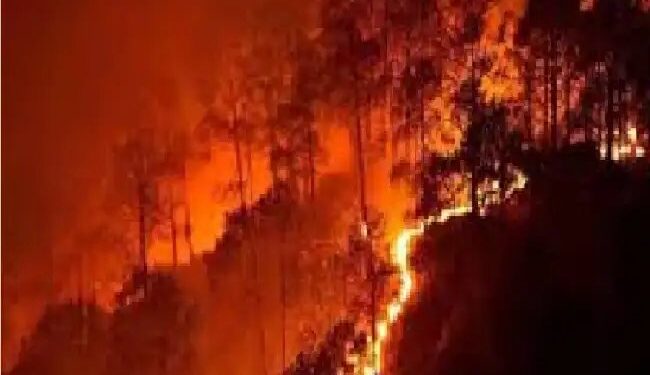 कैबिनेट सचिव ने गर्मी और जंगल की आग से निपटने की तैयारियों की समीक्षा की