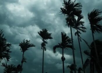 तपती गर्मी से दिल्ली- NCR वालों को राहत, आज मानसून की दस्तक, जानें अपडेट