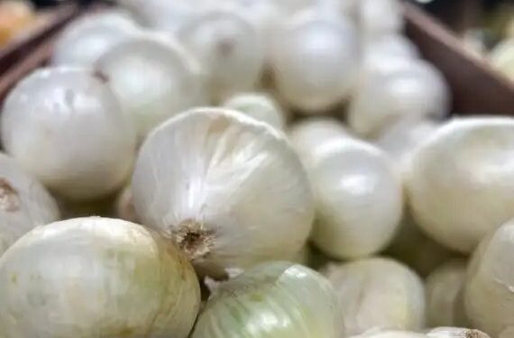 लहसुन का गिरा भाव, किसान परेशान, जानें क्या हैं मंडियों के दाम?