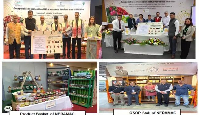 एनईआरएएमएसी ने अपने अम्ब्रेला ब्रांड के तहत 140 मीट्रिक टन से अधिक उपज खरीदी