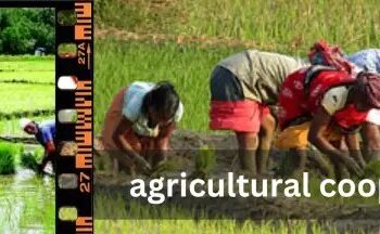 कृषि सहकारी समिति: एकता से बढ़ेगा किसान की आमदनी और विकास