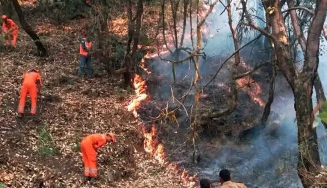 अब तक नहीं बुझ पाई उत्तराखंड के जंगलों में लगी आग