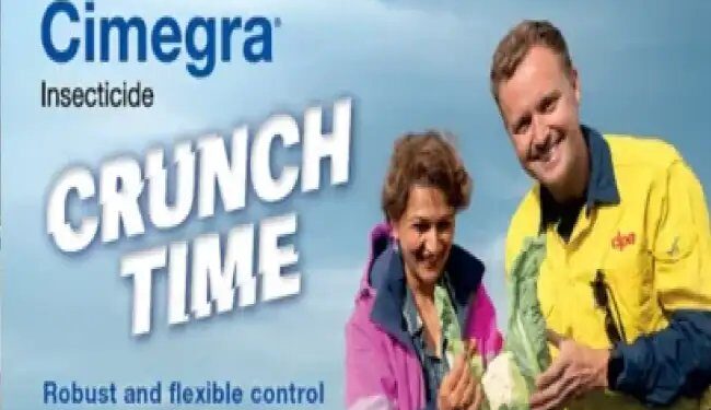 बीएएसएफ ने Australia में किसानों के लिए नया कीटनाशक Cimegra® लॉन्च किया