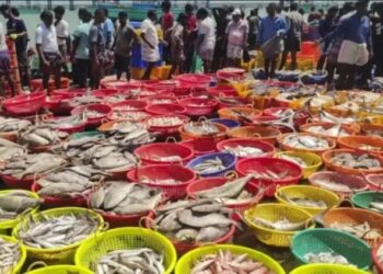 सीईटीए समझौते से भारत के समुद्री उत्पादों के निर्यात को मिलेगा जबरदस्त बढ़ावा