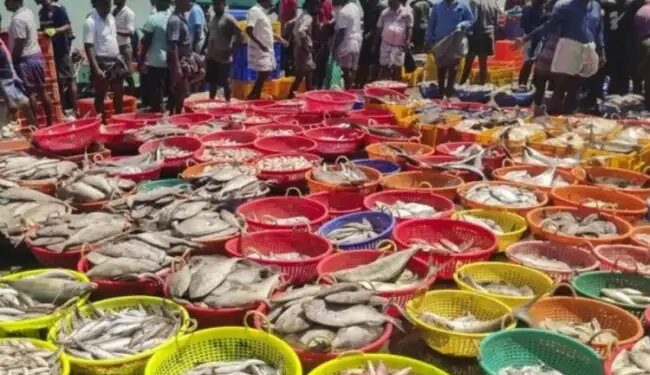 सीईटीए समझौते से भारत के समुद्री उत्पादों के निर्यात को मिलेगा जबरदस्त बढ़ावा