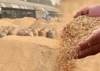 किसानों के लिए राहत, तय समय सीमा के बाद भी खरीदे जाएंगे किसानों के रबी धान