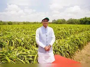 मौसम पूर्वानुमान के आधार पर 2025-26 खरीफ सीजन में रिकॉर्ड खाद्यान्न उत्पादन की उम्मीद: शिवराज सिंह चौहान