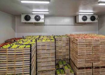 नाशवान फसलों के लिए कोल्ड स्टोरेज सुविधाओं को मिल रही नई रफ्तार, किसानों को मिलेगा सीधा लाभ