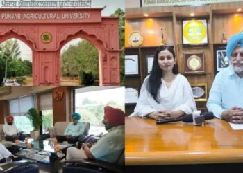 पंजाब एग्रीकल्चर यूनिवर्सिटी किसानों के लिए इन योजनाओं पर कर रही है काम : सतबीर सिंह