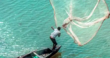 मध्य प्रदेश में हुई फिश पार्लर की शुरुआत, राज्य में बढ़ी डिमांड!