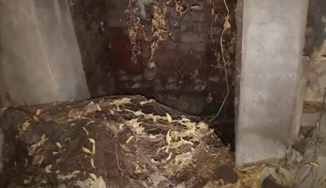 मंडुवाडीह बाजार में पेयजल संकट, नागरिक परेशान