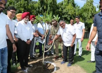 पीएयू में मधुमक्खी पालन प्रशिक्षण शिविर का सफल आयोजन किया गया