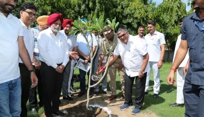 पीएयू में मधुमक्खी पालन प्रशिक्षण शिविर का सफल आयोजन किया गया