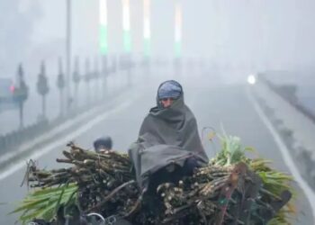 बारिश और ठंडी हवाओं से बिहार को मिली राहत, इन जिलों में येलो अलर्ट