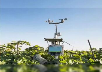 प्रिसिज़न एग्री प्लेटफ़ॉर्म फ़ाइलो ने 4 मिलियन डॉलर का फ़ंड हासिल किया